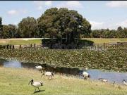 Beautifull large House for sharing, oversize bedroom,...