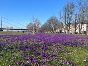 Beautyful & cosy flat in Düsseldorf, prime location!