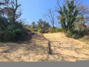 Bédarrides Vente Terrain 84