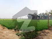 Bedian road mauza jahman 5.5 kanal corner plot for sale