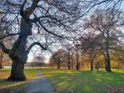 Bedsit, Clanricarde Gardens, W2