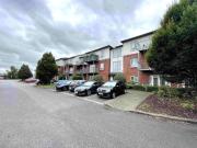 Beechpark Wood, Leixlip, Co. Kildare