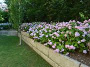 Beeindruckende Seeblick Wohnung am Wörthersee zu...