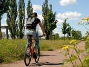 Begonienstraße 1 Am Tulpenbrunnen