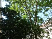 Bei Schönbrunn U4: Gemütliche 2 Zi in ruhiger Lage!