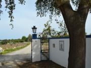 Beja| Quinta próximo da cidade| Óptimo Potencial