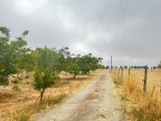 Beja Quinta T3 próximo da cidade