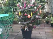 Bel Appart 5p. 110 m2 pondéré, terrasse 36m2, calme Paris15