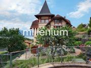 Beautiful apartment with garden and lake view in Lausanne