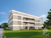 Bel appt de 2,5 pces de 66 m2 hab. avec terrasse et pelouse