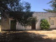 Bel casale da ristrutturare con uliveti secolari 250m²...