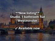 Belgrave Road, London SW1V, Studio to rent, £3,000 pcm |...