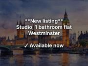 Belgrave Road Studio to rent £3,000 pcm £692 pw