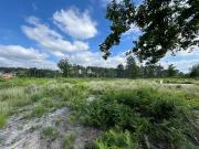 Belin Béliet 33830 Programme neuf terrain neuf à vendre