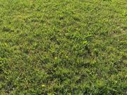 Belin Béliet Vente Terrain 33