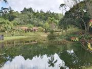 Belíssimo sítio alto padrão em São Lourenço da Serra com...