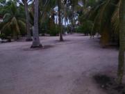 BELLA CASA DE PLAYA EN ACAPULCO, RECIEN REMODELADA PARA... BELLA CASA DE PLAYA EN ACAPULCO, RECIEN REMODELADA PARA...