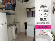 BELLA SUITE AMUEBLADA EN RENTA