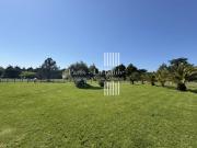 Belle chaumière avec 1,2 hectare de terrain