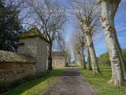 Belle Demeure, style chartreuse, piscine 450m² Bergerac