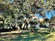 Belle maison atypique, piscine, jardin, double garage...