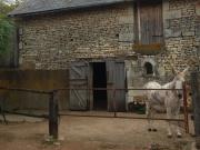 Belle maison de campagne T7 sur un terrain de 16 200 M2