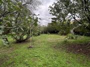 Belle parcelle de terrain à bêtir au centre de Toulouse...