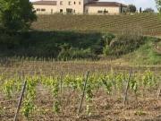 Belle propriété d' exception de 340 m2 avec terrain...