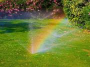 Bellevigny 85170 Programme neuf terrain neuf à vendre