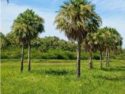 Bellísimo terreno con vista al Palmar, Bo Don Fernando