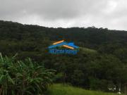 Belo sítio com Potencial de Negócio em Caucaia do Alto...