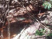 Belo sitio de 4,3 HA Jeceaba/MG, lindo local, alto de...