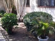 Belo Terreno com 840,00 m2 no bairro Tristeza na zona...