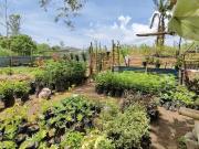 Prime Commercial Lot for Sale in Bacolod City – 19,456...