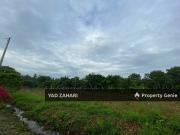 BELOW MV LAND FOR SALE: TANAH PERTANIAN 1.27 EKAR @...