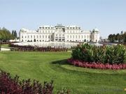 BELVEDERE Studio ALL IN BELVEDERE Studio ALL IN