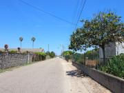 Benavente Santarém 94748714