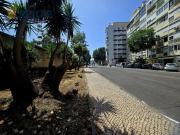 Benfica T3 Remodelado