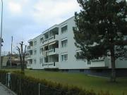 Benötigen Sie mehr Platz für Ihr Hobby? Dreamo. Ch