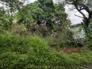Bentley Park Subdivision Lot for Sale in Antipolo City