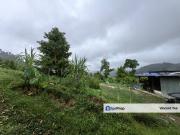 10 Acres Hilly Durian Farm Facing Mainroad Penjuring Bentong
