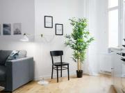 Bequemes 3 Zimmer Luxus Apartment mit Wohnküche