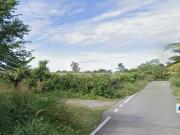Beranang Agricultural Land Zoning Residential For