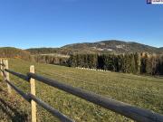 BEREITS 2 VON 4 VERKAUFT! Ihr Rückzugsort in der Natur...