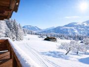 Bergbauernwirtshäusl mit Panoramablick & touristischer...