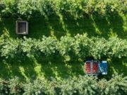 Bergobstbau im Bern Mittelland mit Wohnungen