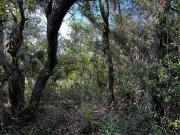 Bermont Rd, Punta Gorda, Plot For Sale