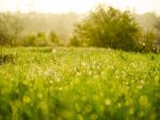 Bernay Vilbert Vente Terrain 77