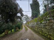 Berre les Alpes Vente Propriété/château 06