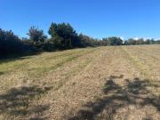 Berson Vente Terrain 33